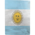Argentina Flag Distressed PS5 Digital Edition Bundle Skin